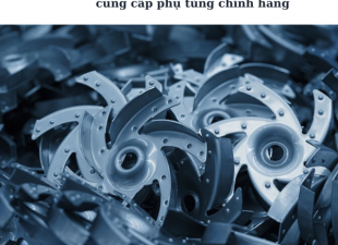 CHUYÊN CUNG CẤP PHỤ TÙNG CHÍNH HÃNG EBARA TẠI VIỆT NAM